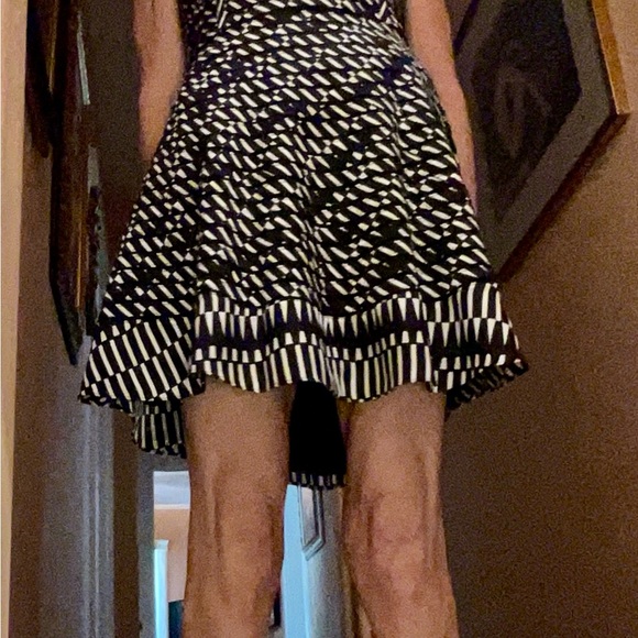 NWOT B & W Patterned Dress made from Parker - Picture 6 of 8